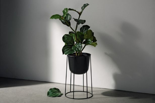 Donica Menu WIRE POT