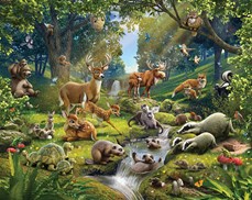 Tapeta 3D Walltastic - Animals of the Forest
