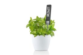 Zestaw 2 znaczników Blomus PLANTA
