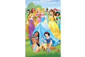 Tapeta 3D Walltastic - DISNEY PRINCESS